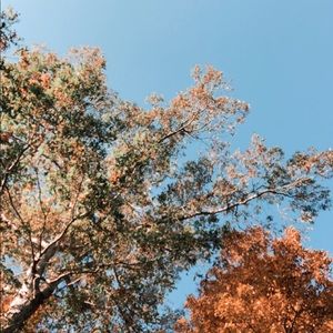 Meet your Posher, Bobbie jo